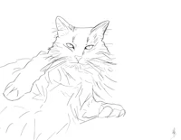 a black and white drawing of a cat